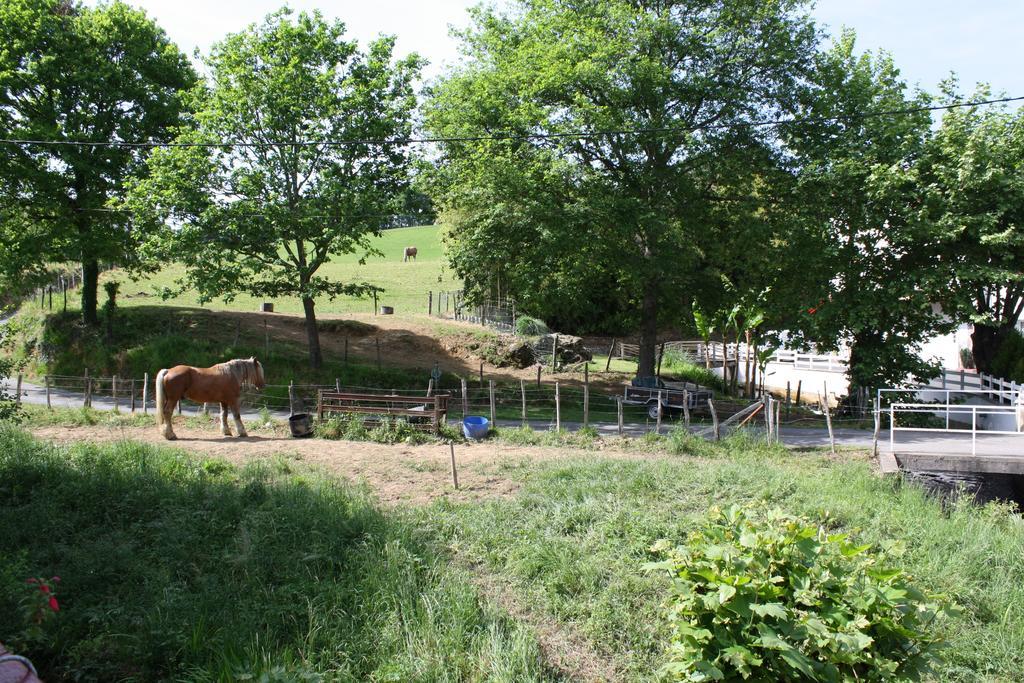 Location Eyheraldia - Votre T3 Au Coeur Du Pays Basque Hasparren Rom bilde